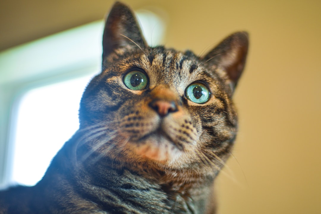 Waarom mensen altijd op zoek zijn naar algemene antwoorden